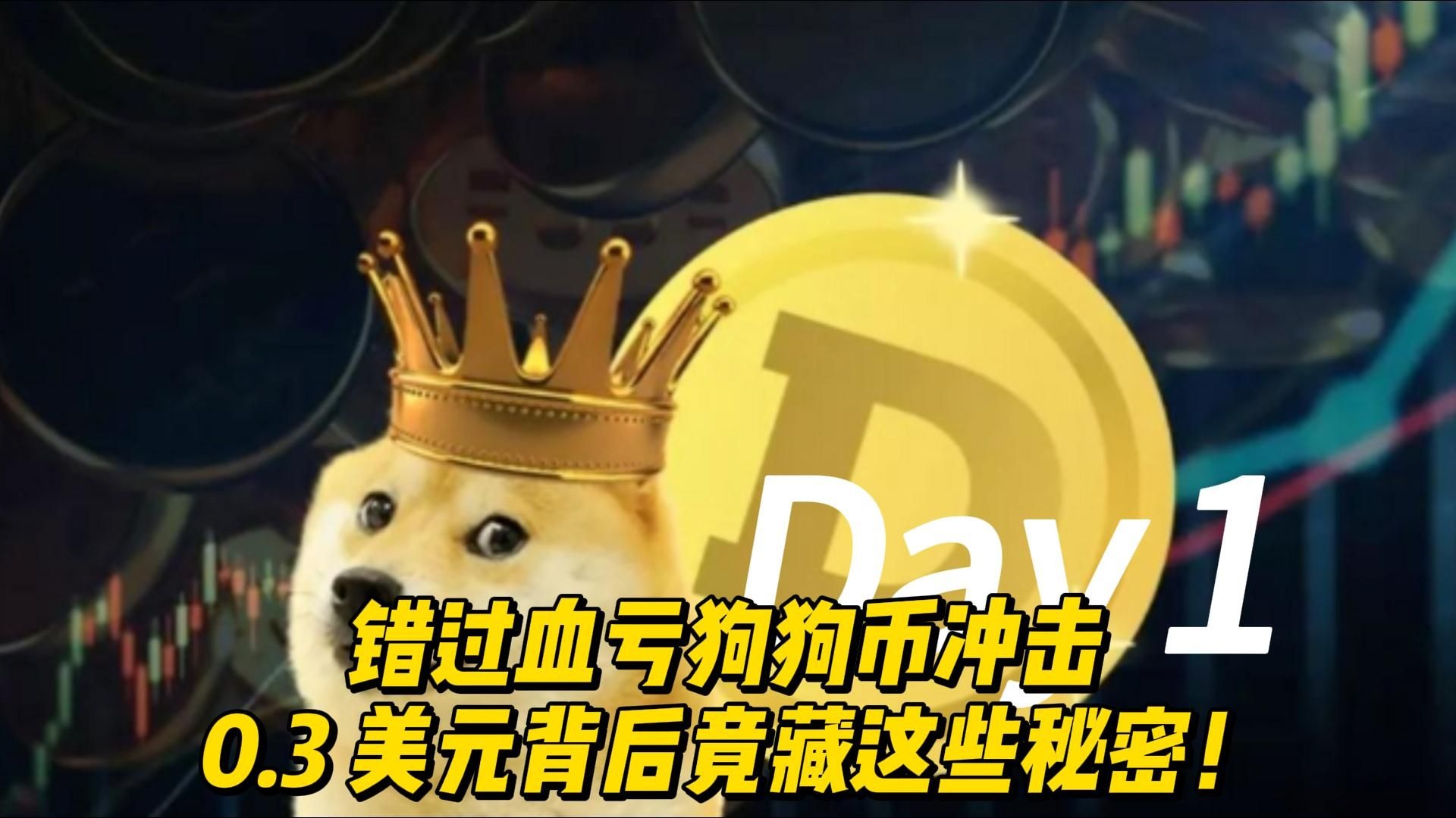 狗狗币投资骗局被揭发，已有超USDT人被骗！