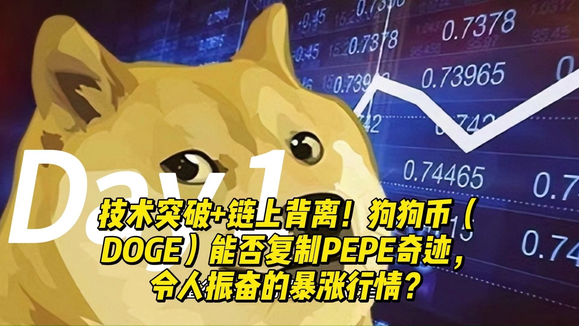 狗狗币诈骗事件遭曝光，已有超USDT人被骗！